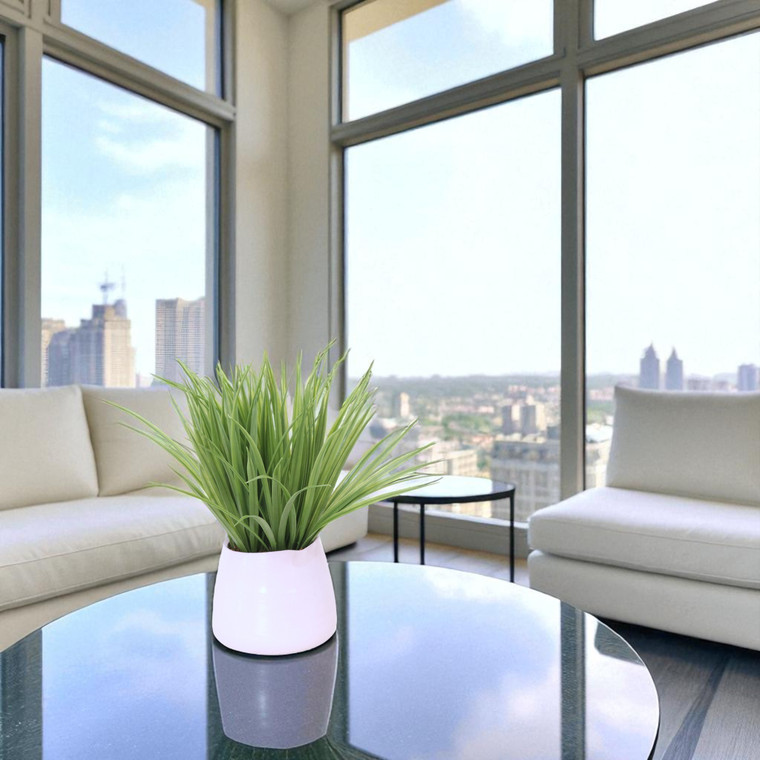 Grass in White Planter