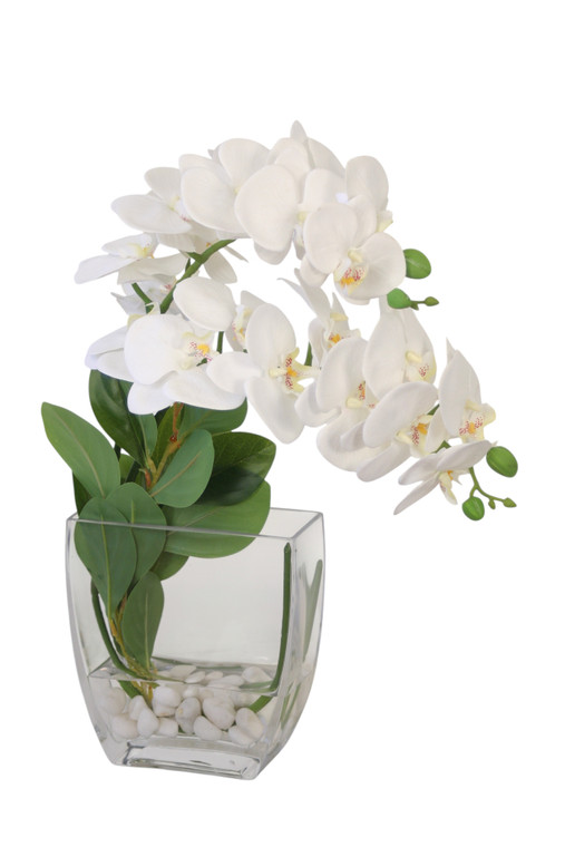 Waterlook® White Phalaenopsis Orchid in Tapered Rectangle Vase