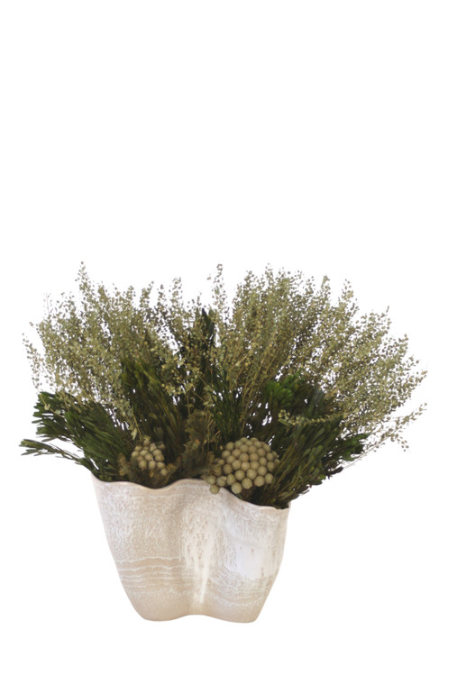 Dried Lepidium Basil with Platys and Brunia in Wave Container