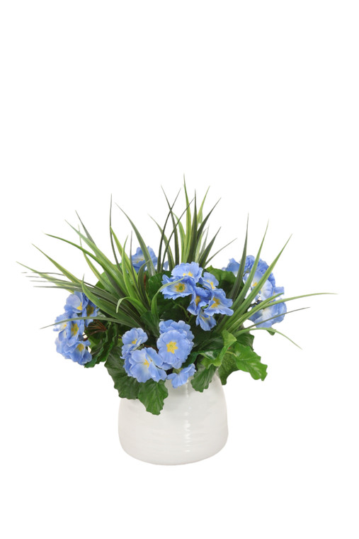 Blue Primrose Mix in White Container
