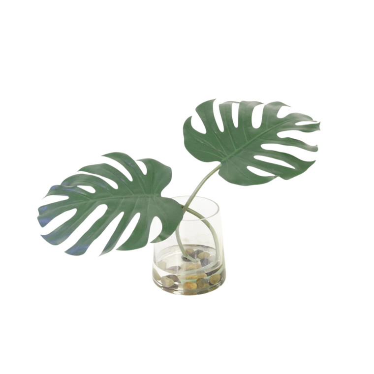 Waterlook® Philodendron Leaf in Tapered Glass
