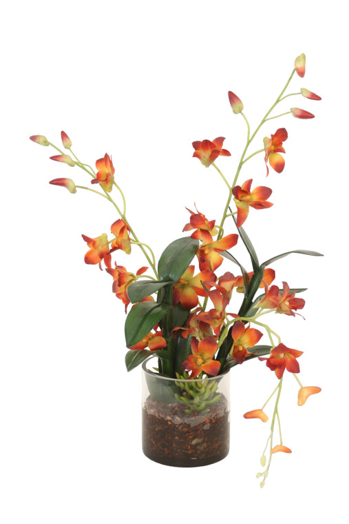Rust Dendrobium Orchids in Cylinder