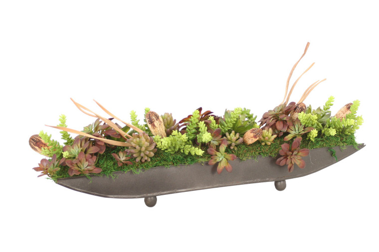 Succulents in Bronze Tray