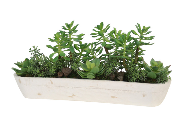 Mixed Succulent Garden in White Wooden Trough