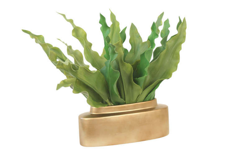 Tulip Leaves in Gold Oval Planter