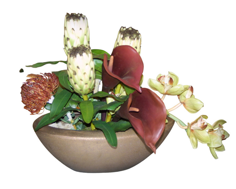CHOCOLATE CALLA MIX IN OVAL