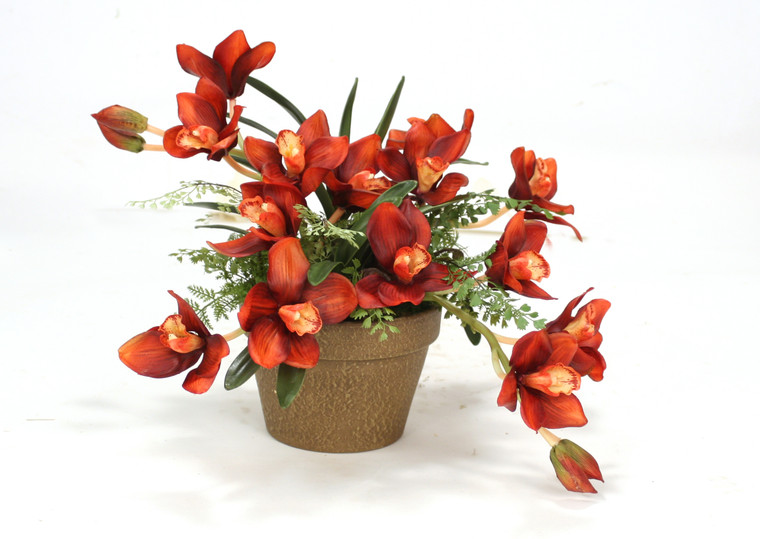 Rust Orchids and Orchid Foliage in Stained Pot