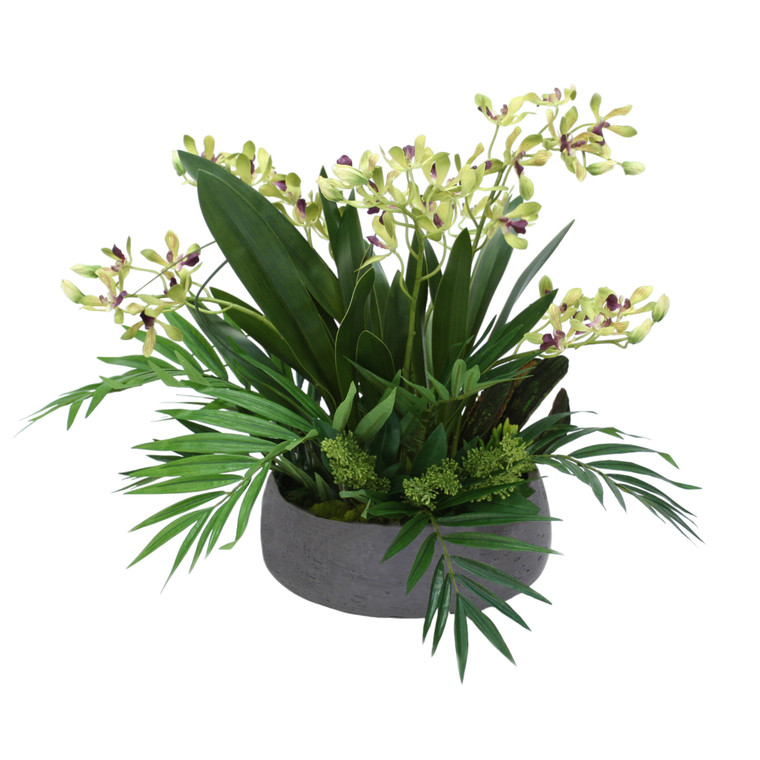 ORCHID WITH SUCCULENT AND GRASS IN GREY PLANTER