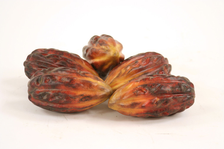 Cocoa Fruit (Set of 12)