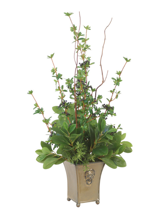 Firethorn Berries with Peperomia Bush in Lion Head Planter