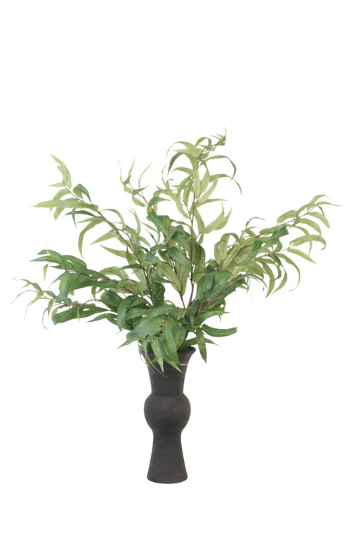 Eucalyptus in Black Container