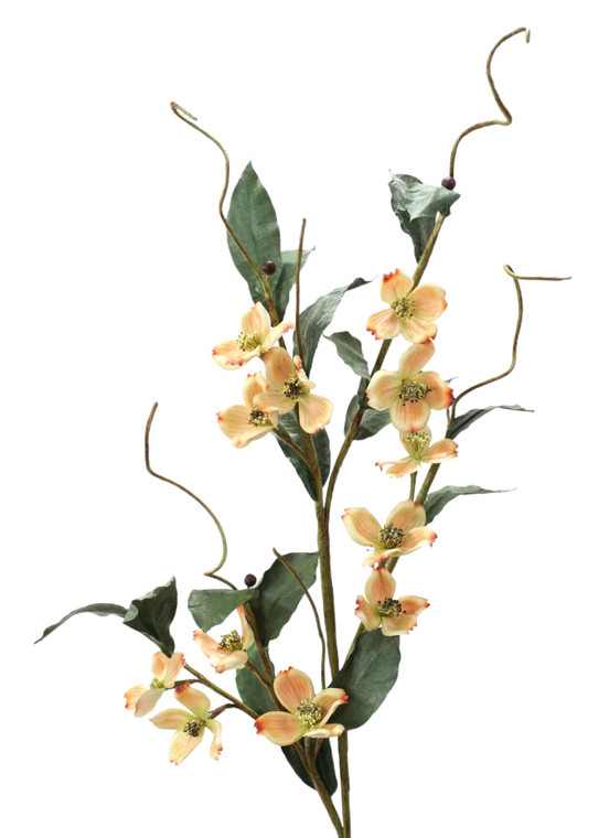 LONG DOGWOOD BRANCH X 12-Set of 6
