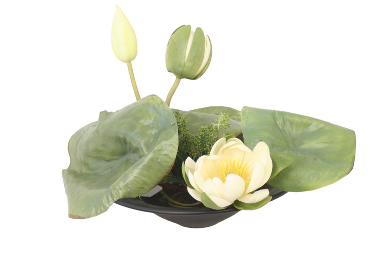 Water Lily Garden in Round Black Planter