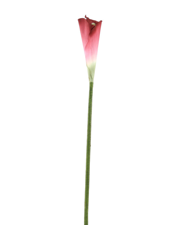 LG ARUM LILY - WINE-Set of 6