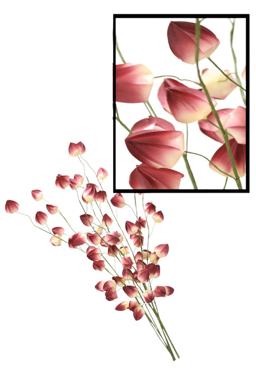 CHINESE LANTERN-Set of 12