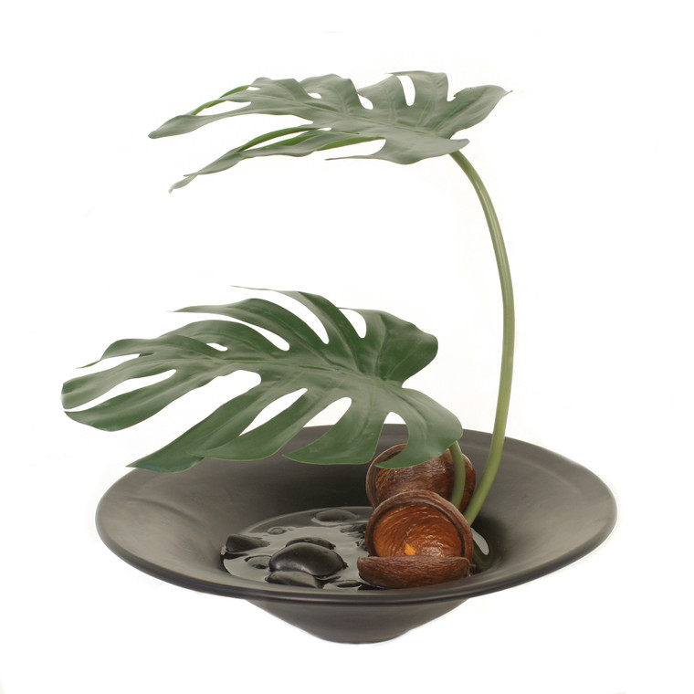 Split Leaf Philo Leaves, Pods in Black Ceramic Bowl