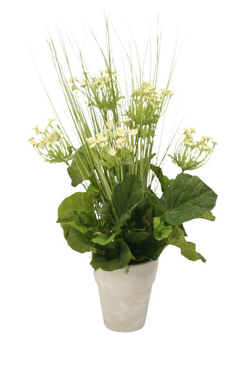 Queen Anne Lace with Grass in Clay Pot (Set of 2)