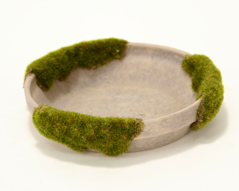 Medium Mossed Saucer Moss Gray (Set of 4)