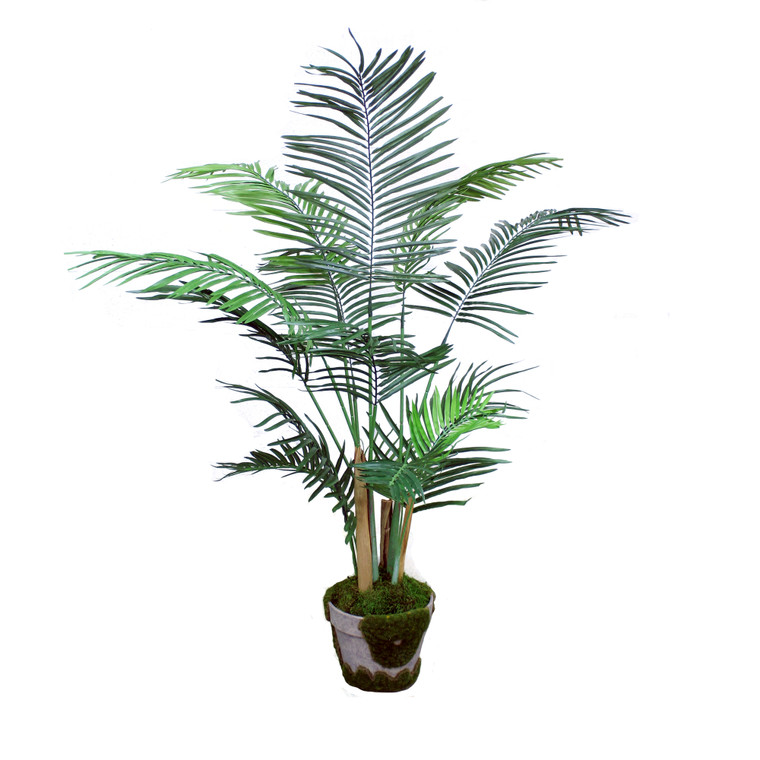 4 ft Areca Palm Tree