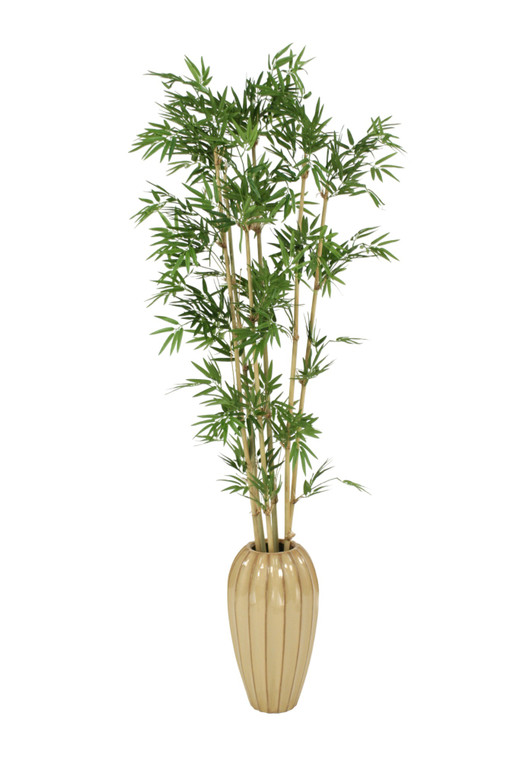 5.5' Bamboo in Tall Milu Earthenware Vase