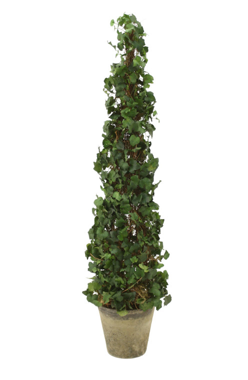 53" Ivy Topiary in Aged Stone Pot