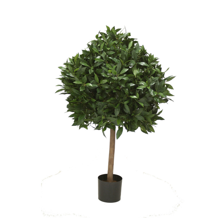 3.5' Sweet Bay Single Ball Topiary In Plastic Liner