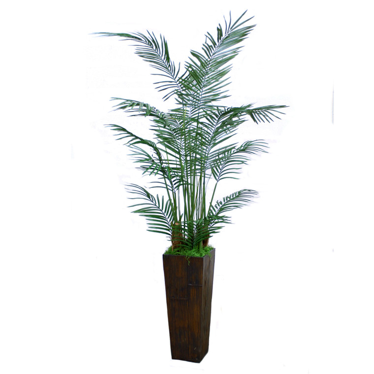 Areca Palm Tree in Crushed Bamboo