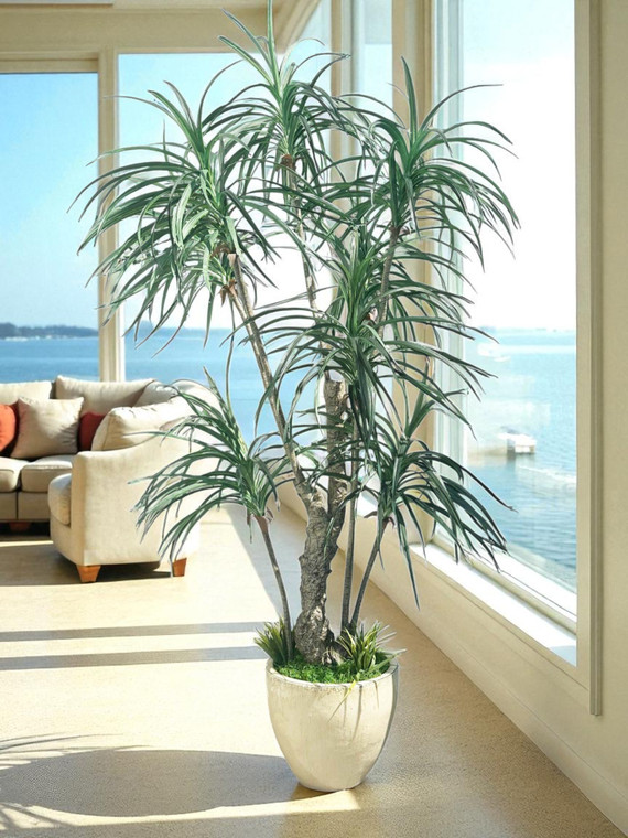 Yucca Tree In Cream Egg Planter
