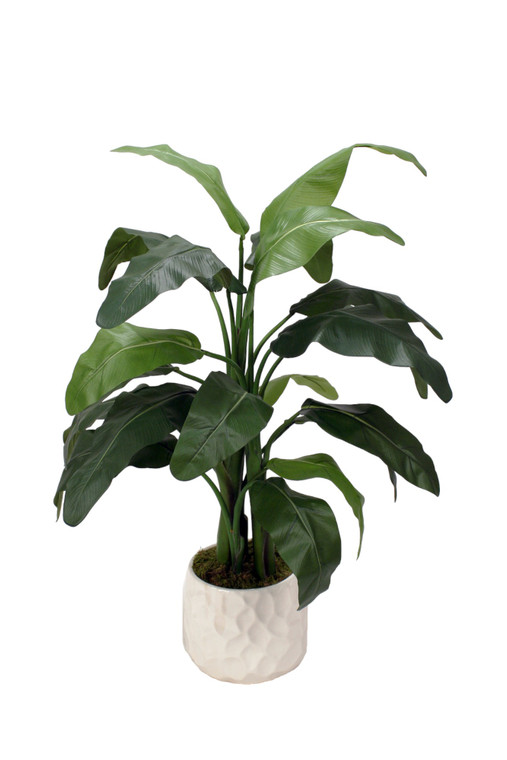 4' Tropical Foliage in White Gabi Vase