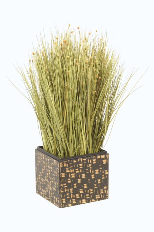 Grass in Wood Bamboo Box