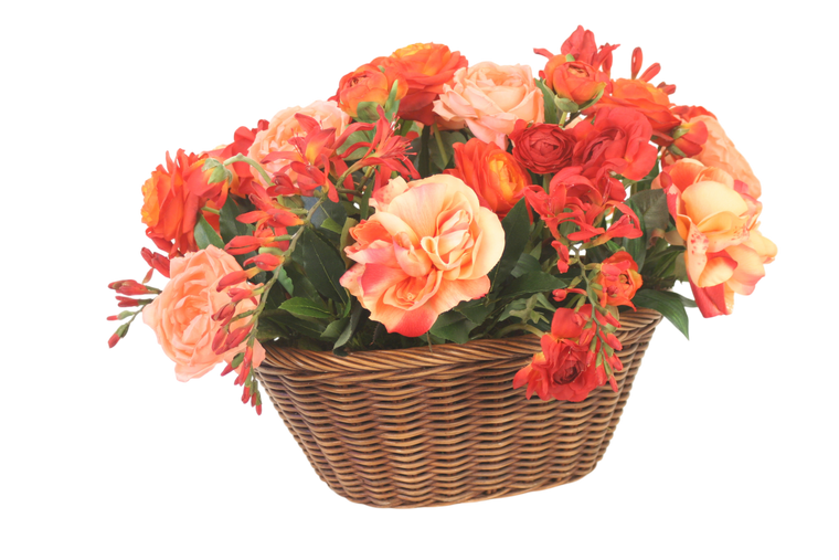 Peach and Dark Red Ranunculus and Roses in Basket