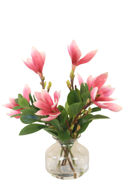 Saucer Magnolia in Metallic Glass Vase