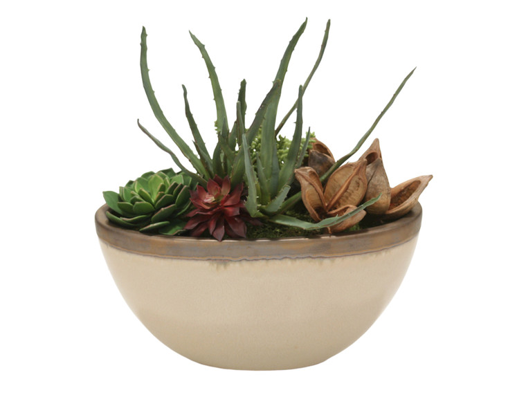 Succulent Garden in Glazed Tan Ceramic Oval Planter