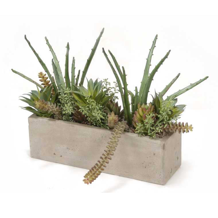 Mixed Succulents in Concrete Window Box