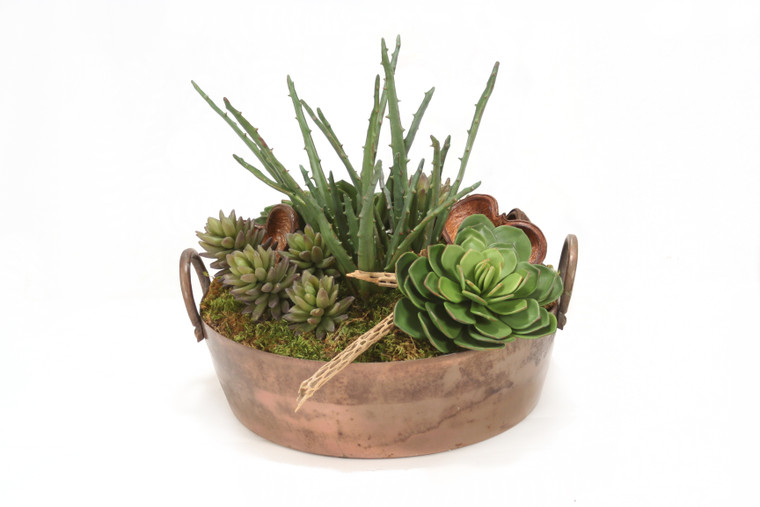 Mixed Succulents in Round Copper Planter