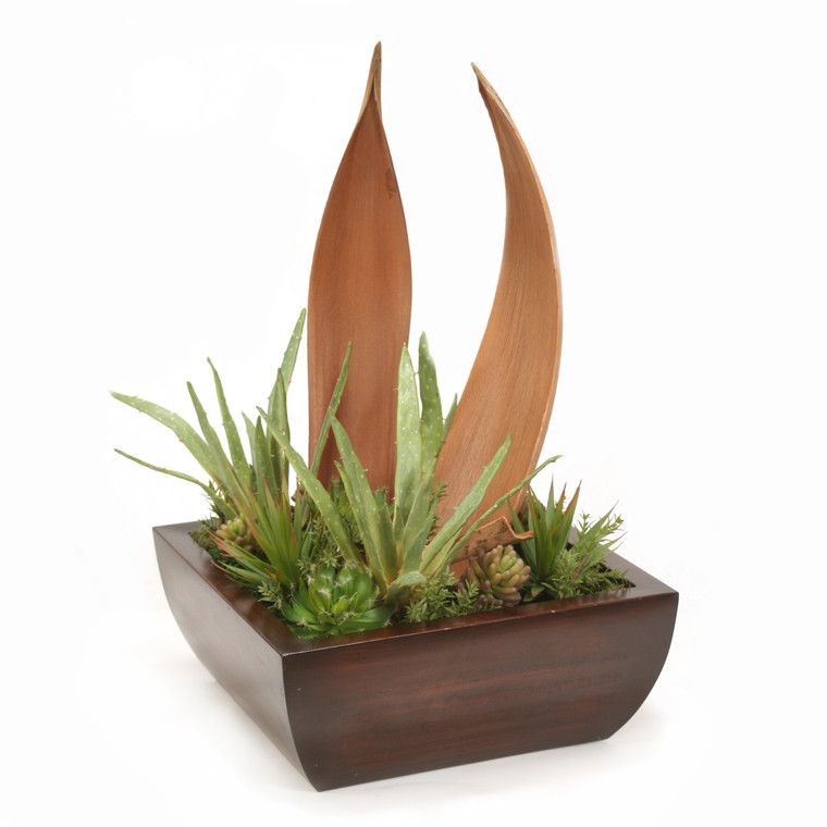 Palm Paddles with Succulents in Square Planter