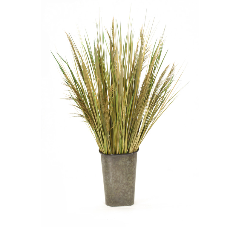 Natural Grass with Reeds in Metal Wall Pocket