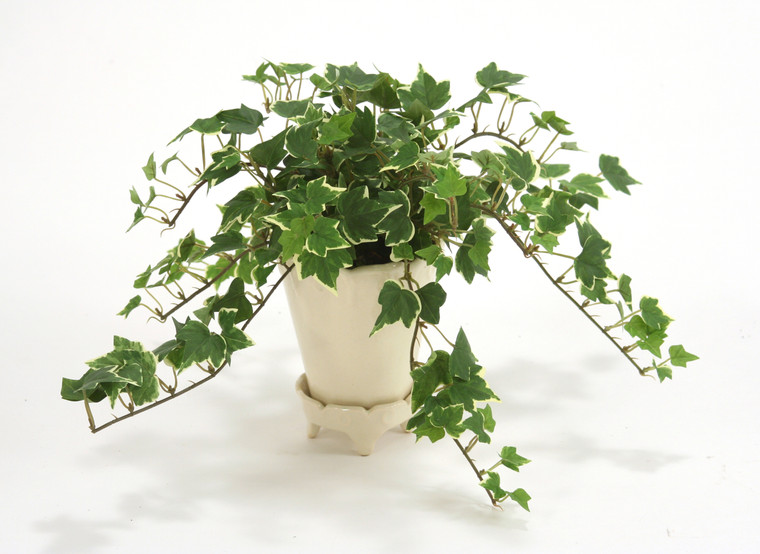 Greenery in Beige Pot
