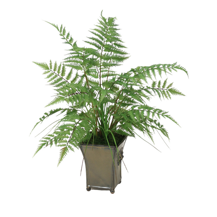 Forest Fern in Toleware Planter in Lion Motif Planter