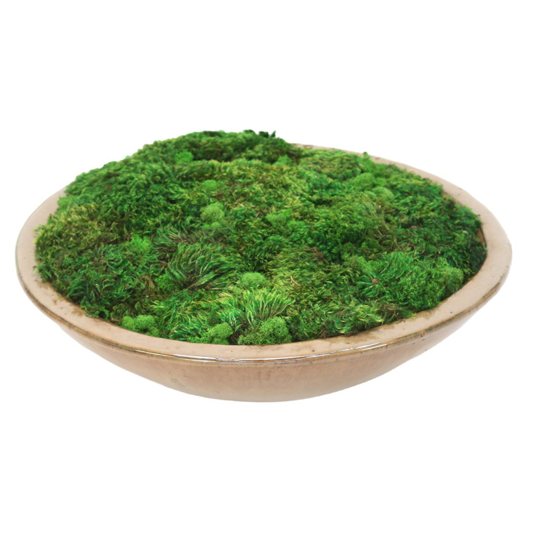 Mood Moss in Glazed Stoneware Bowl