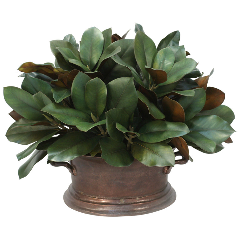 Magnolia in Vintage Copper Pot
