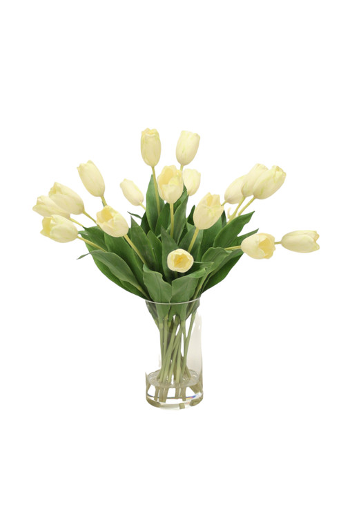 White Tulips in Tall Glass Cylinder