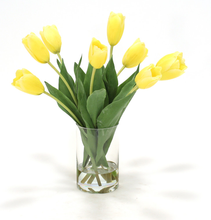 Yellow Dutch Tulips in Clear Glass Cylinder