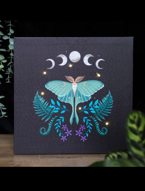 Luna Moth Light Up Canvas Plaque Luna Moth Light Up Canvas Plaque