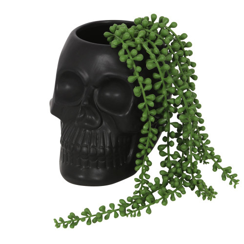 Black Skull Plant Pot Black Skull Plant Pot