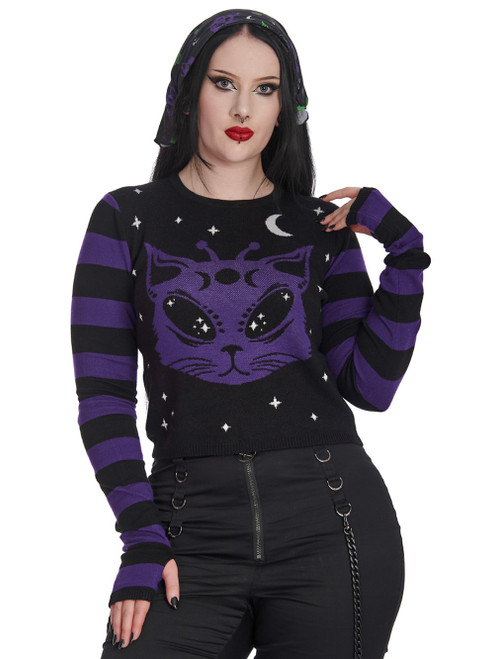 Banned Alien Space Cat Jumper