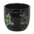 Poisonous Plants Plant Pot
