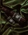 The Pretty Cult Roll-On Perfume: Weed Witch