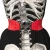 Kreepsville 666 Elastic Belt: Skull - Red