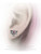Alchemy Gothic - Sacred Cat Stud Earrings